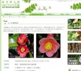 ツバキ展開催！