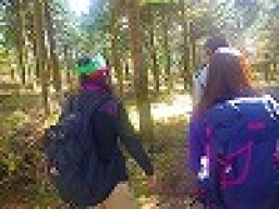 【平日アウトドア 紅葉トレッキングツアー】 社会人サークルFEAD