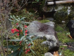 北前船主屋敷 蔵六園　お正月飾り