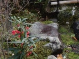 北前船主屋敷 蔵六園　お正月飾り