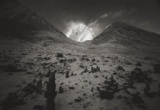 ディアドルフ写真展 「DEARDORFF」