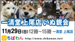 保護犬を家族に迎える譲渡会「ちばわん 啓蒙活動&一清堂上尾店いぬ親会」