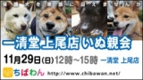 保護犬を家族に迎える譲渡会「ちばわん　啓蒙活動＆一清堂上尾店いぬ親会」
