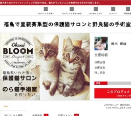 福島で里親募集型の保護猫サロンと野良猫の手術室を作りたい！