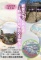 観音さんへの散歩道ー野崎まいりをめぐる物語ー