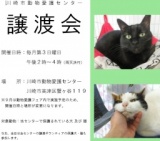 犬・猫の譲渡会