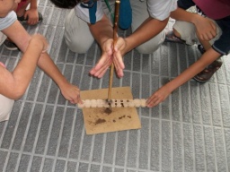 夏休み特別体験「火おこし」　新潟県立歴史博物館公式サイト