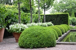 イギリスの庭に学び日本の植栽で作る デザイン性の高い緑のガーデン | ハウスクエア横浜