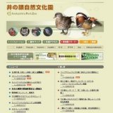 カイツブリのひなの展示ひとまず終了