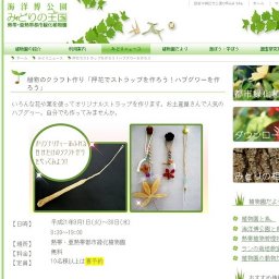 植物のクラフト作り「押花でストラップを作ろう！ハブグワーを作ろう」