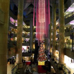 スターライトジングル