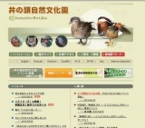 落ち始めたメタセコイアの実