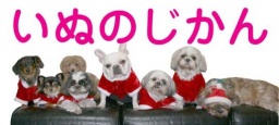 犬カフェ●いぬのじかん主催  オフ会(まったり犬好き交流会)