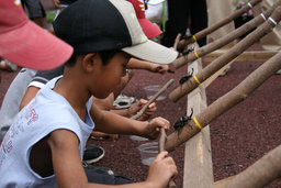 かぶとむしレース大会