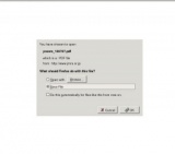 海で遊ぼう!　みんなでヨーソロー　モーターボート体験乗船