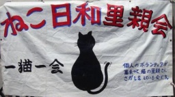 ねこ日和里親会