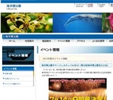 美ら海自然教室「ウミガメの秘密を探る」参加者募集中！