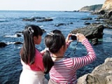ネイチャースクール三浦「海辺の生きもの観察＆カメラ教室」