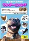 【10/12(土)～25(日)】ワンダーニャンド