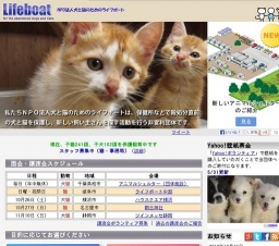 犬と猫の譲渡会