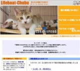 子猫との面会日および譲渡会