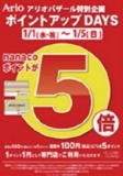【1月1日(水・祝)～1月5日（日）】 アリオバザール特別企画 アリオ鷲宮専門店街限定 「nanaco ...