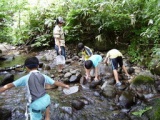 なべくら高原・森の家　水辺の生き物探し　蟹沢調査隊