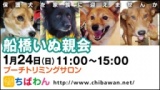 保護犬を家族に迎える譲渡会「ちばわん　船橋いぬ親会」