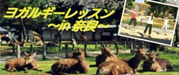 ヨガルギーレッスン　〜in 奈良〜
