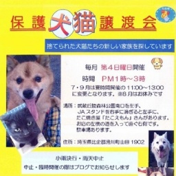 コン太の会譲渡会