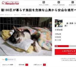 猫180匹が暮らす施設を危険な山奥から安全な場所へ移転したい！
