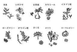 無料化粧品起業セミナー