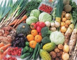 東都生協の新鮮野菜産直即売会 | ハウスクエア横浜