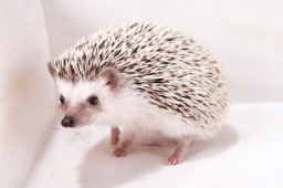 童話の世界の動物園 | ハウスクエア横浜