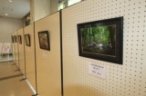 花の文化園　花の写真コンテスト作品展