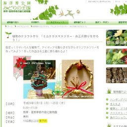 植物のクラフト作り「ミニクリスマスツリー・お正月飾りを作ろう」