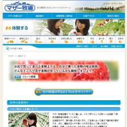 さつまいも堀り