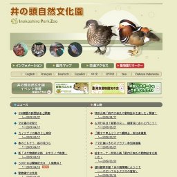 動物園でお花見