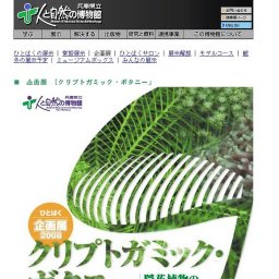 ひとはく企画展２００８「クリプトガミック・ボタニー〜隠花植物の不思議な世界〜」