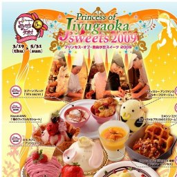 プリンセスオブ自由が丘スイーツ2009 開催中！