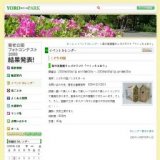 森の美術館キッズクラフト「つくっちゃおう」