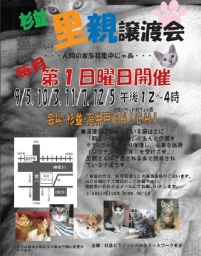 杉並猫ちゃんの里親譲渡会