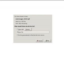 「ブーゲンビレア展」開催中！