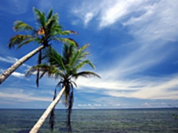 【海好き限定】神楽坂でおひとりさま限定合コン