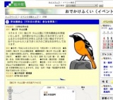 野鳥観察会（河和田の野鳥）参加者募集!!