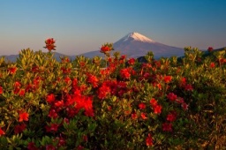 富士山写真展