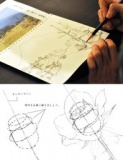大人サークル【お気楽スケッチ】《 ヒイラギを描こう！》