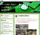 ねこわんこ譲渡会