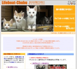 子猫との面会日および譲渡会