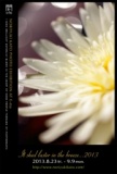  It shed luster in the breeze...2013 加藤 宣幸 写真展